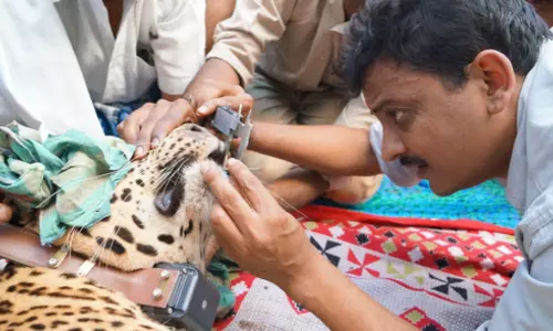 Stop Treating Injured Wildlife in Karnataka: Gubbi