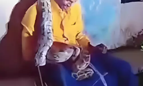 Onlookers rescue drunk man from python