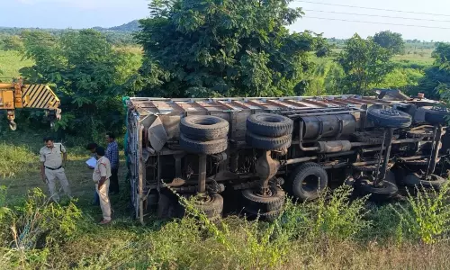 Lorry carrying wild animals overturns in Telangana