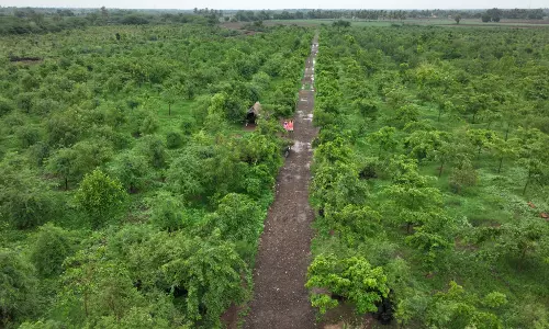 1500-acre in Mamadapura designated as Sri Siddeshwar Swamiji Biodiversity Heritage Site