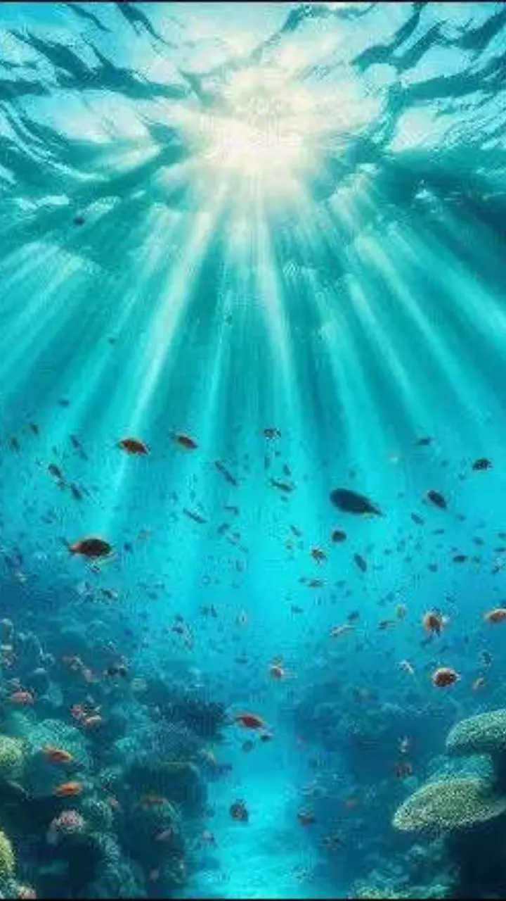 6 Mind-Blowing Facts That You Might Have Come Across Internet But Dont Remember