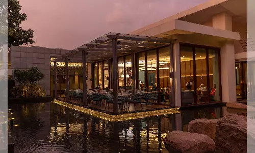 Elevate Your Senses: Expertly Crafted Cocktails at Hyatt’s Hodd’s