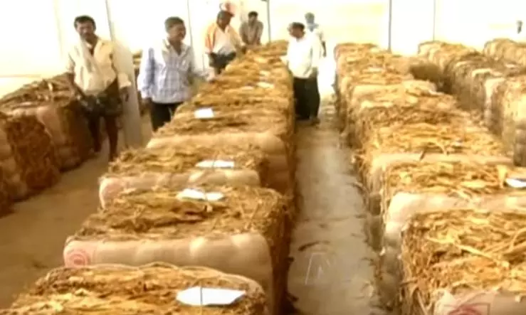 Tobacco Secures Record Prices Tobacco Secures Record Prices
