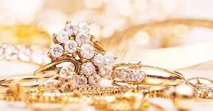 12 kg gold jewellery recovered during checking on Yamuna expressway 12 kg gold jewellery recovered during checking on Yamuna expressway