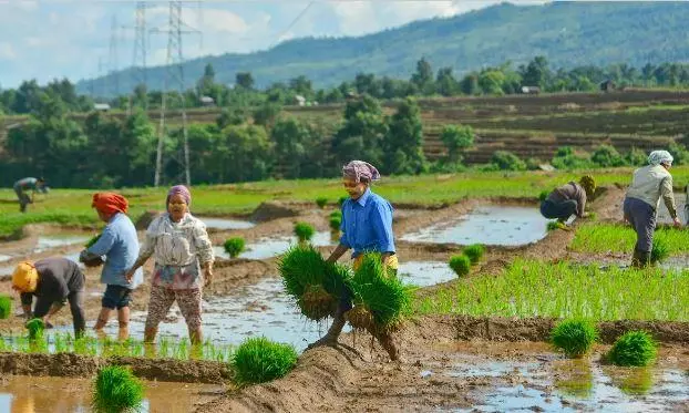 A Dhoti-Towel Challenge for BRS Ahead of Farmers’ Stir at Adilabad A Dhoti-Towel Challenge for BRS Ahead of Farmers’ Stir at Adilabad