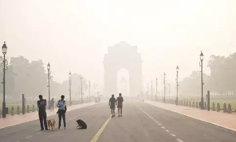 SC pulls up Centre for toothless environmental laws on stubble burning SC pulls up Centre for toothless environmental laws on stubble burning