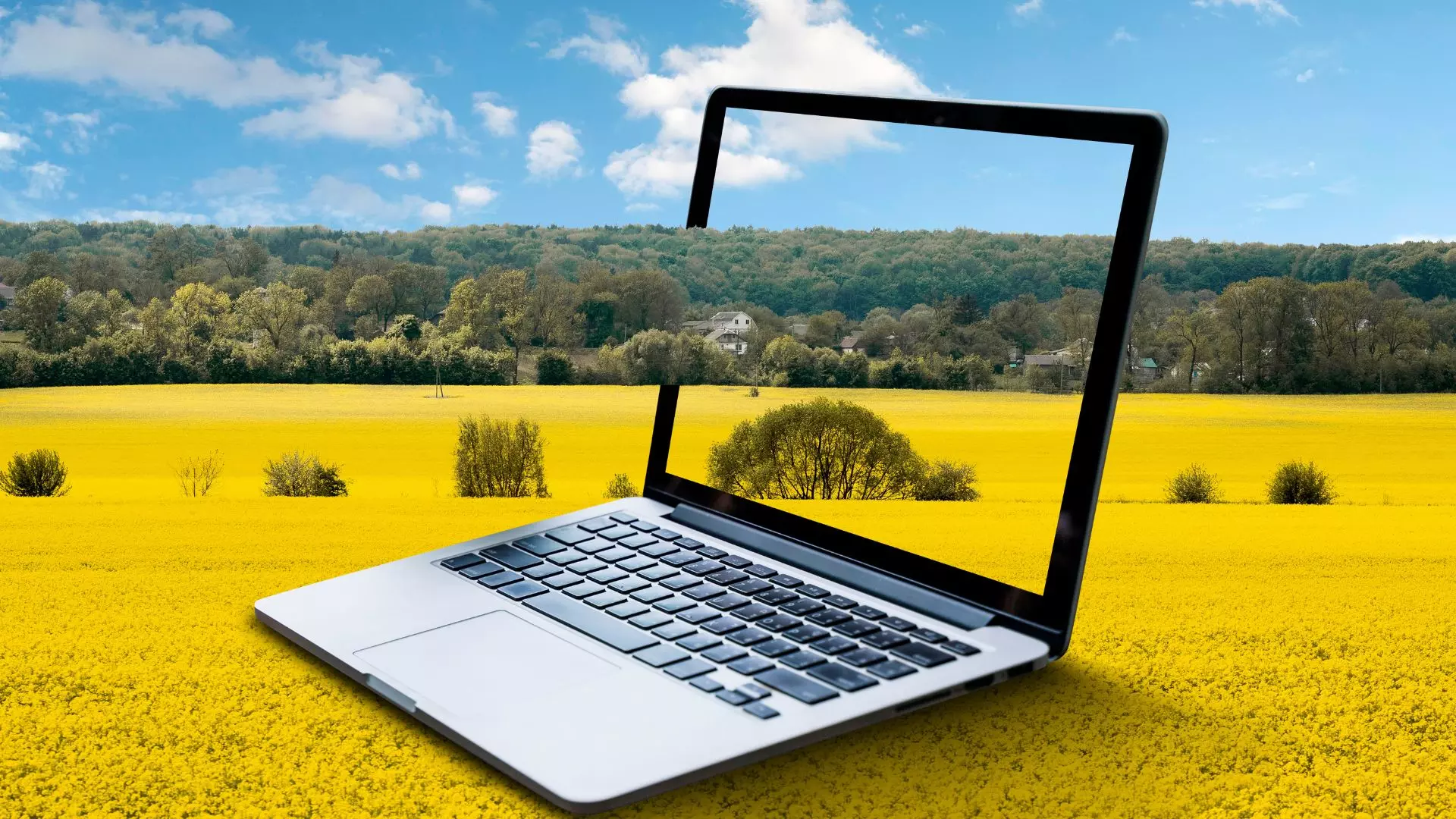 Glitch in software hits registration of re-surveyed farm lands in AP Glitch in software hits registration of re-surveyed farm lands in AP