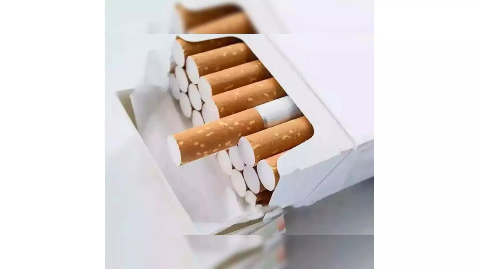 CGST commissionerate seizes Rs 50 lakh worth of cigarettes CGST commissionerate seizes Rs 50 lakh worth of cigarettes