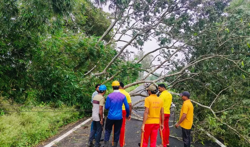 Cyclone Dana Ravages Odisha Coast, Leaves Farmers and Fishermen Devastated Cyclone Dana Ravages Odisha Coast, Leaves Farmers and Fishermen Devastated