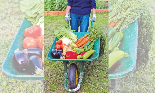 That gut feeling about (in)organic food intake