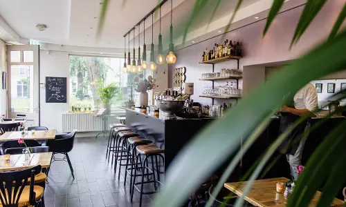 Independent Houses in Jubilee Hills Turning into Commercial Establishments