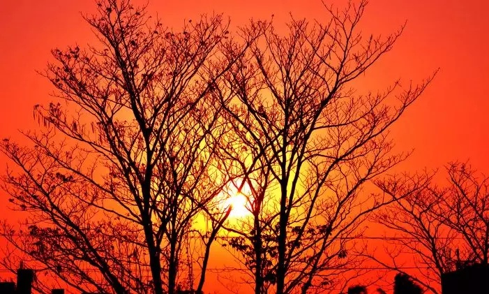 Dry weather likely to persist in AP as temperatures rise