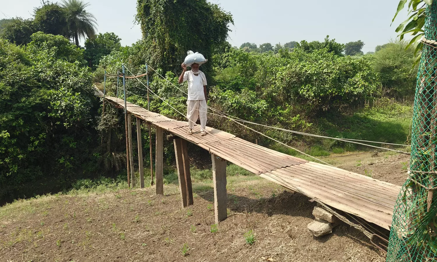 Farmer, 75, builds bridge over rivulet to make way for farm