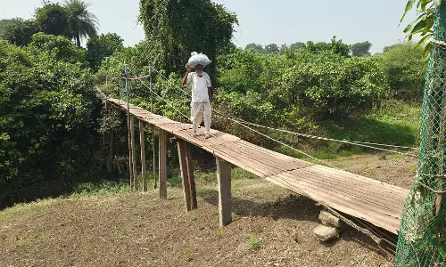Farmer, 75, builds bridge over rivulet to make way for farm