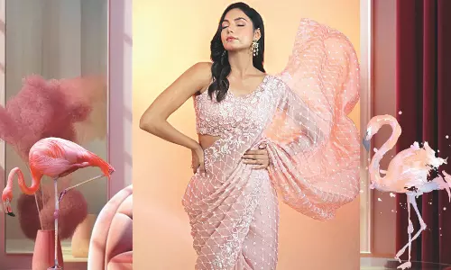 Take a fancy flight with flamingo pink Take a fancy flight with flamingo pink