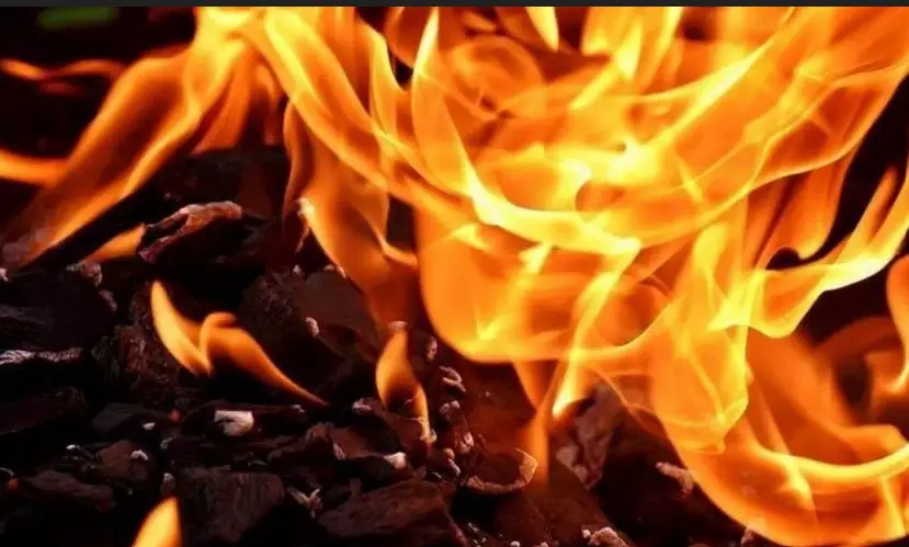 UP: Fire breaks out at a factory in Ghaziabads Sahibabad area UP: Fire breaks out at a factory in Ghaziabads Sahibabad area