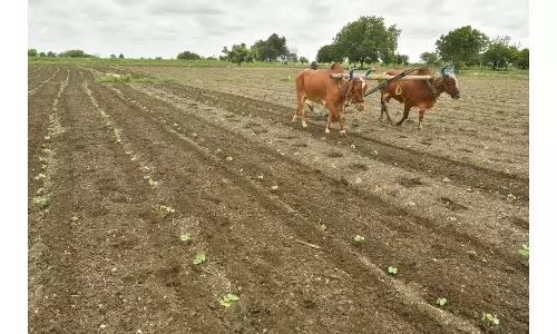 15 districts in coastal AP report deficit rainfall in October