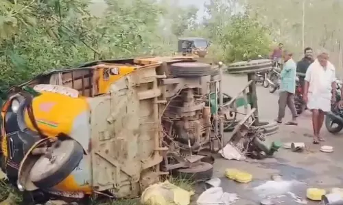 AP: Elephants continue rampage, destroy 180 coconut trees