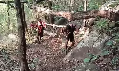 Andhra Pradesh: Tribals Carry Heavy Electric Poles for 4 km