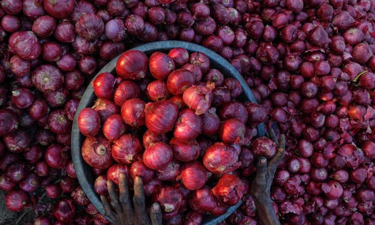 Centre to Sell Onions at Rs 35/kg in Delhi amid Price Surge