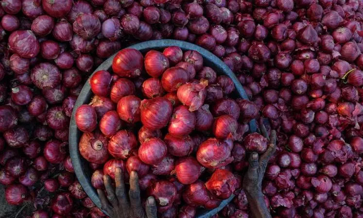 eNAM Crash, Traders Syndicate, Storage Upset Kurnool Onion Farmers eNAM Crash, Traders Syndicate, Storage Upset Kurnool Onion Farmers