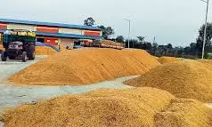 Telangana paddy farmers have hard time at PPCs