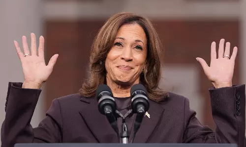 Explained: Why Kamala Harriss Historic White House Bid Fell Short