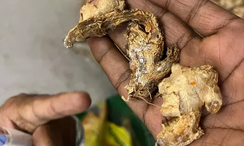 Hyderabad: Lax standards in Moosapet and Santosh Nagar restaurants