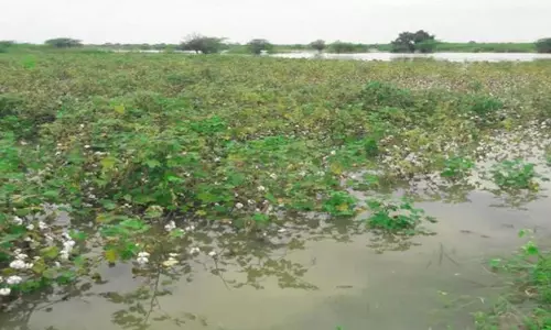 Haveri farmers suicide due to crop loss, not Waqf notice: Police