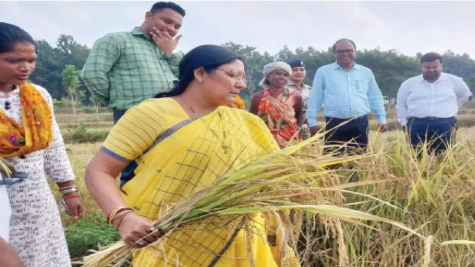 Union Minister Savitri Thakur Joins Odisha Farmers for Harvest Union Minister Savitri Thakur Joins Odisha Farmers for Harvest