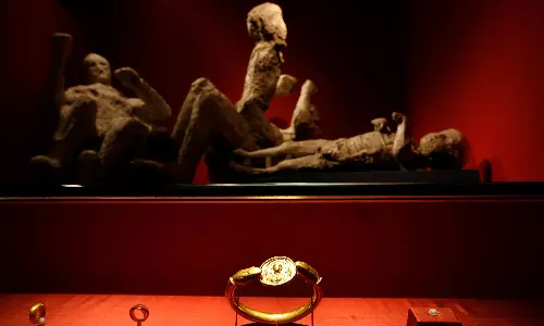 New DNA evidence rewrites long-told stories of people in ancient Pompeii New DNA evidence rewrites long-told stories of people in ancient Pompeii