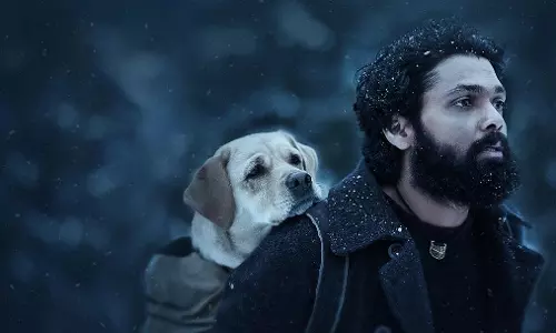 From 777 Charlie to Singham 2 - Best South Indian Movies to watch on JioCinema