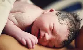 Vizag: Baby declared dead at KGH Hospital found alive during handover