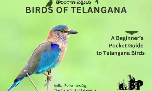 Telangana Gets Its First Pocket Guide to Birdlife