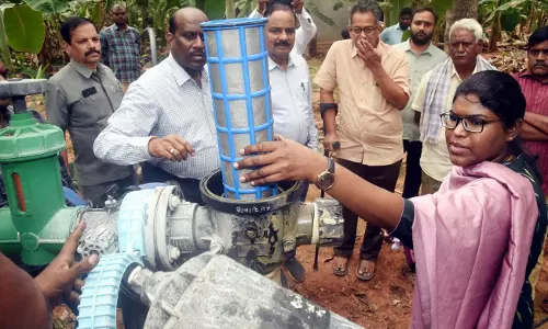 Eluru to become a horticulture hub: Collector