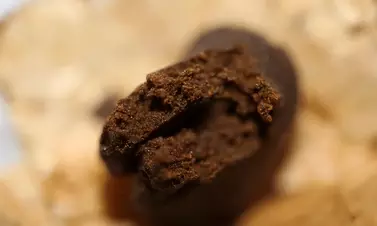 Karnataka police seize 10,000 charas chocolates, arrest six