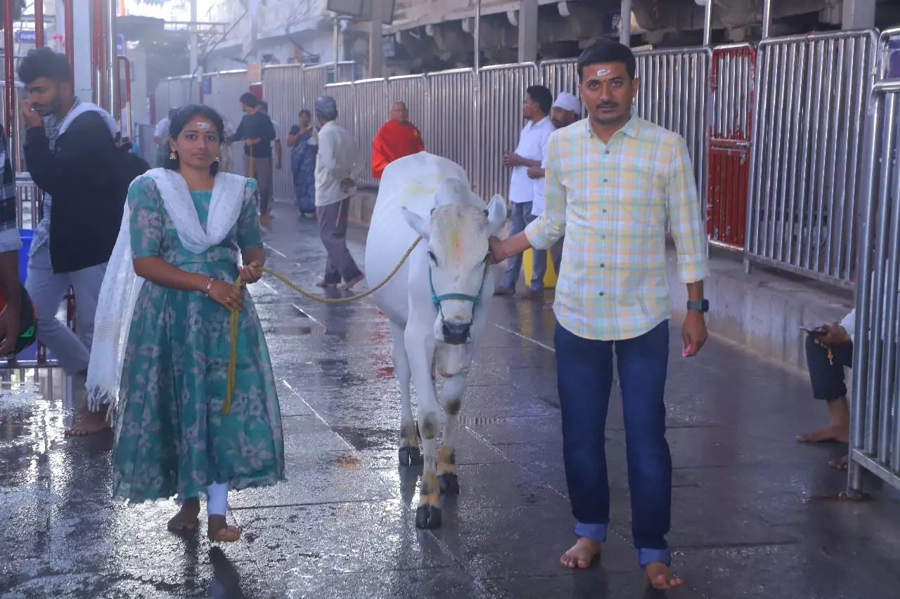Karthika Pournami celebrated at Sri Raja Rajeshwara Swamy Temple in Vemulawada