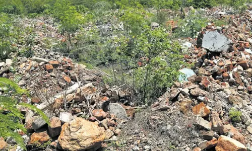 Alarming decline in mangrove forests amid Vizag’s growth