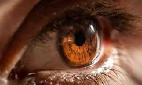 Eye missing from corpse at Bihar hospital, rats blamed