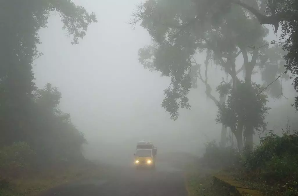 Araku Valley witnesses winter chill; temp drops to 8.5° Celsius Araku Valley witnesses winter chill; temp drops to 8.5° Celsius