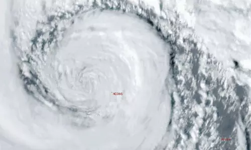 Bomb cyclone knocks out power, downs trees across northwest US, killing 1