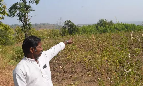 Tigers in danger if compensation delayed