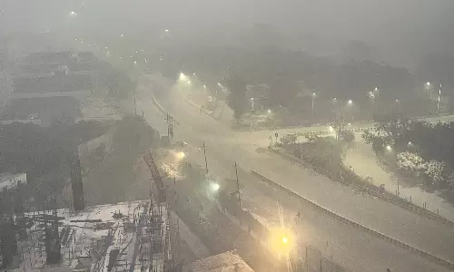 Delhi Air Pollution: Government Implements 50% Work-From-Home Policy