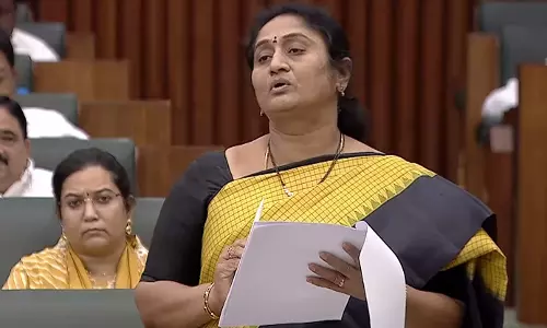 TD allocated Rs 39,000 cr for BC welfare: Savita