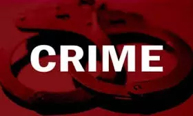 Man kills niece, burns, and dumps body in Thane