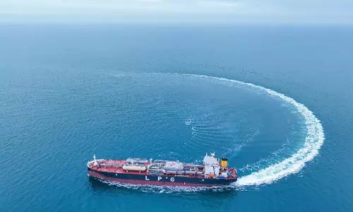 Synergy Marine Group growing vegetables on its vessels using AI technology