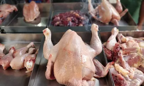 Motinagar Chicken Shops Reopen Hours After GHMC Seals for Poor Hygiene