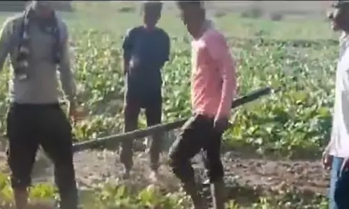 Madhya Pradesh: Dalit man lynched over borewell dispute