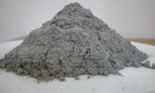 Kadapa: BJP-TD leaders fight over fly ash transportation from Rayalaseema thermal plant