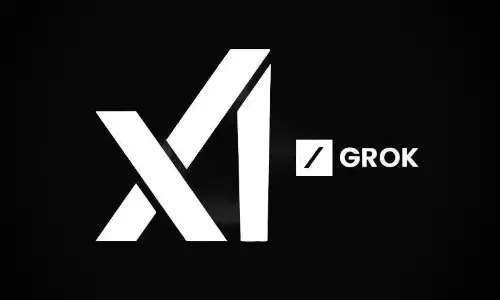 Elon Musks AI Company Says Grok Chatbot Focus On South Africas Racial Politics Was Unauthorized